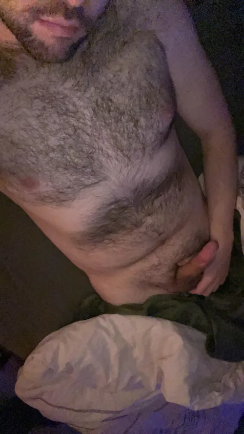 33 m bear usa for verbal 21+ twinks who show face on sc. add loum42069