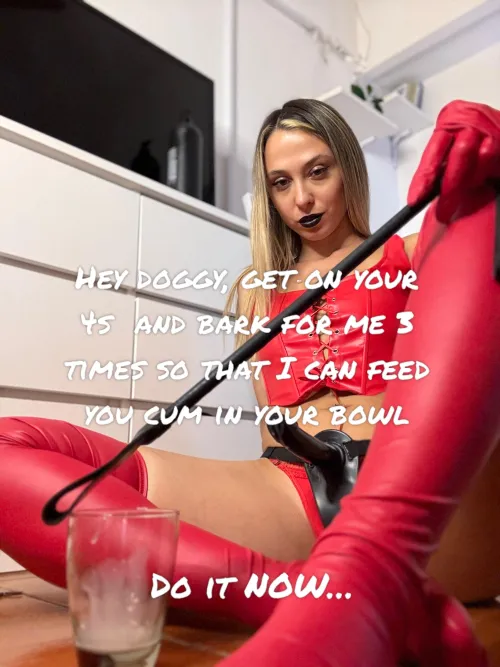 Are you going to kneel down puppy?