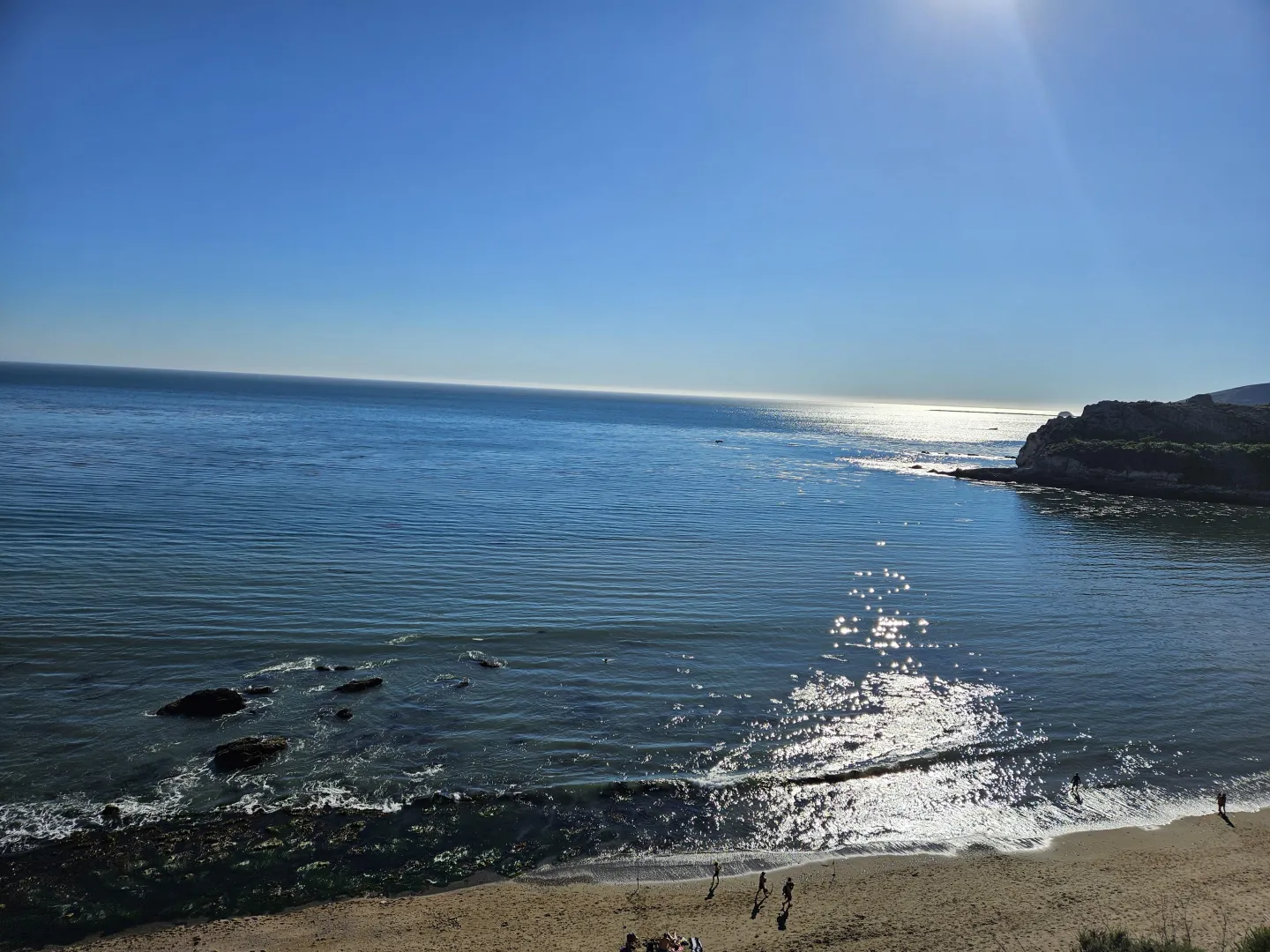 Beautiful and Busy Day