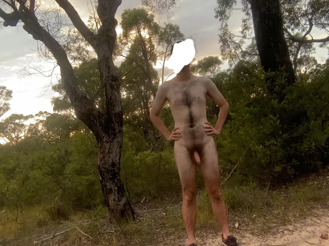 Beautiful morning for a bush walk