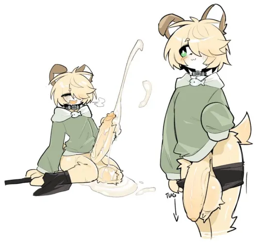 Dulce y adorable cachorro en adopción, no es difícil de cuidar solo necesita de tu atención y mimos, Le encanta jugar e ir de paseo con su dueño o dueña, puede ser algo agresivo y morderlon, ten cuidado ya que es muy territorial con lo que es de su 