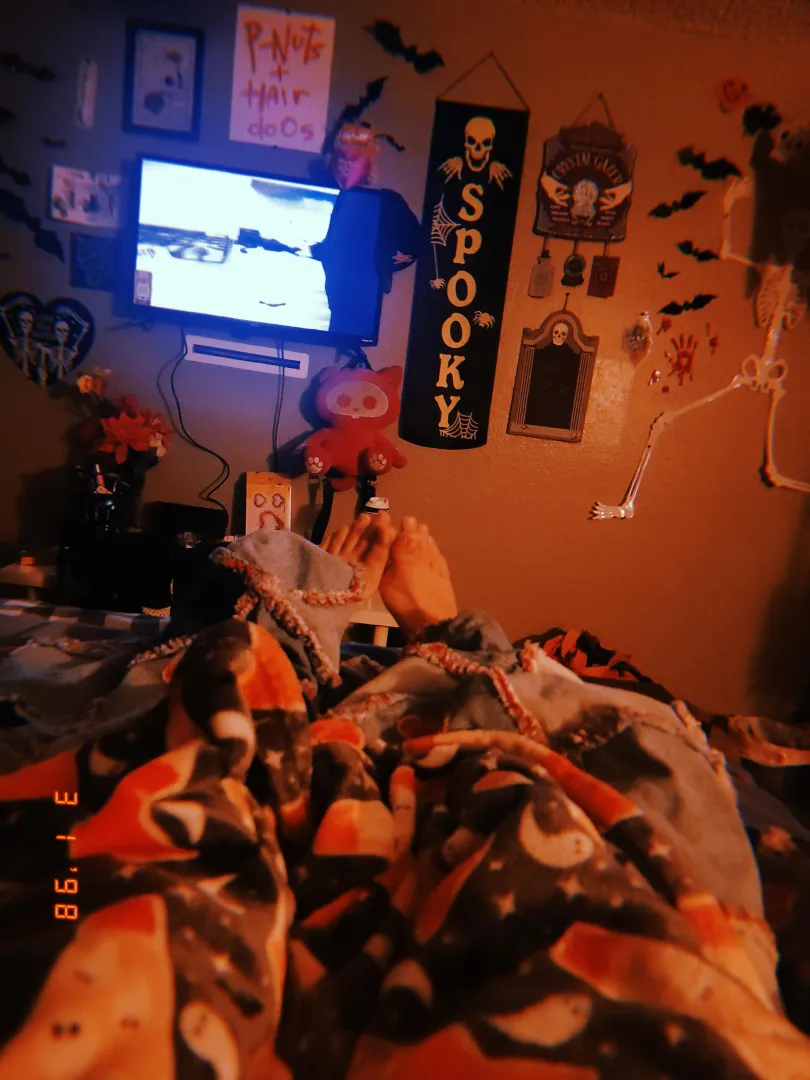 good night from my piggies