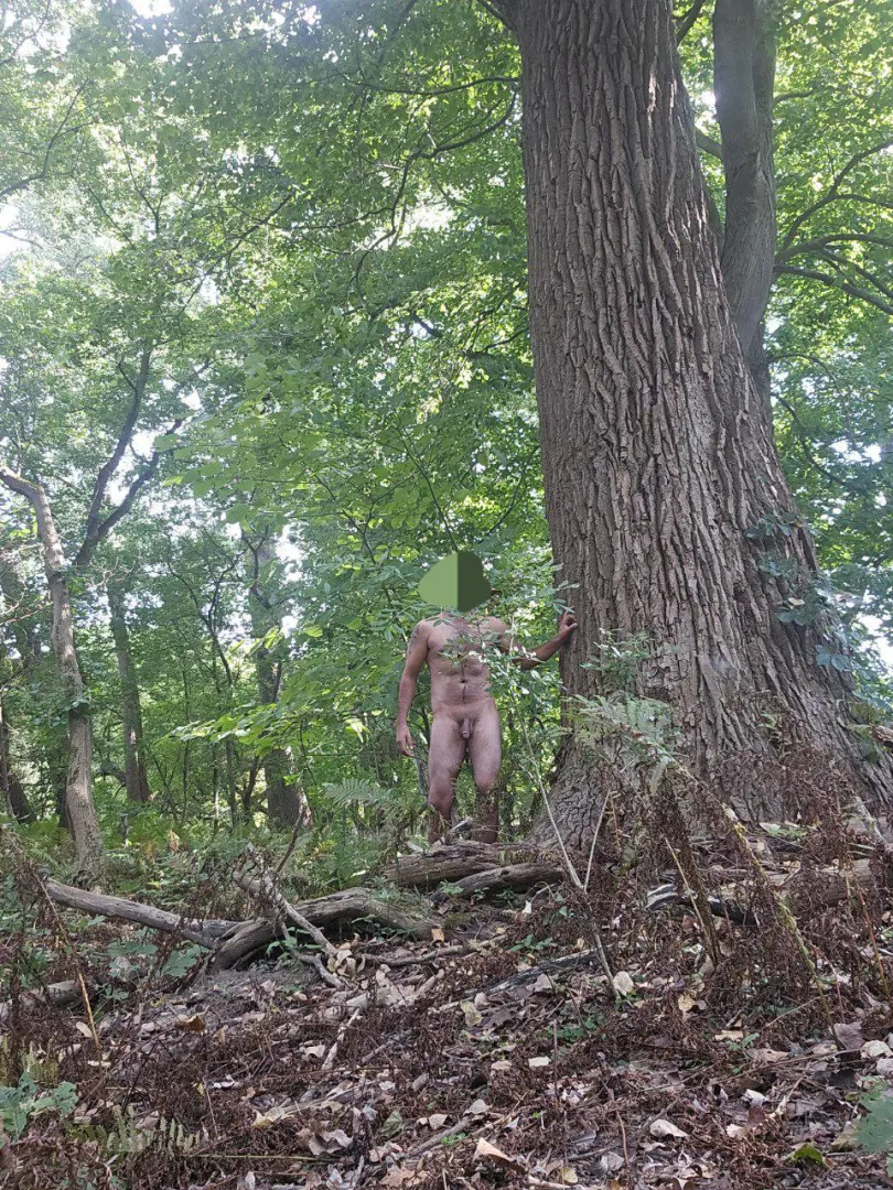 Hiking out behind the house