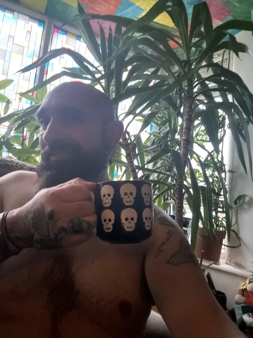 Morning light bright even on dull day