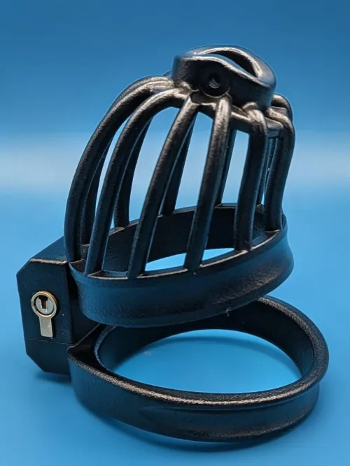 Test cage for a client, really like the finish