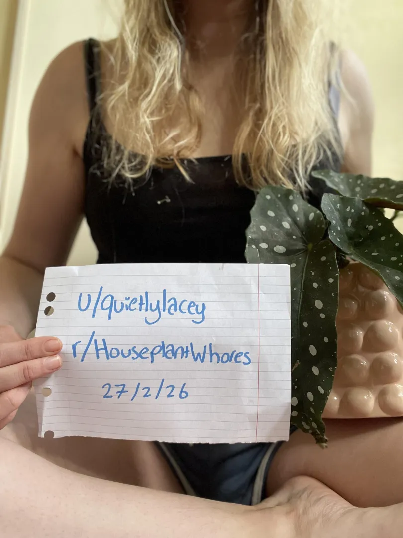 Verification post