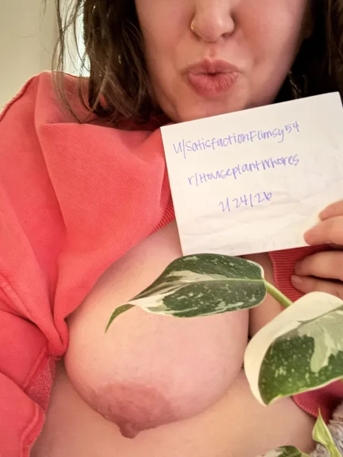 Verification Post