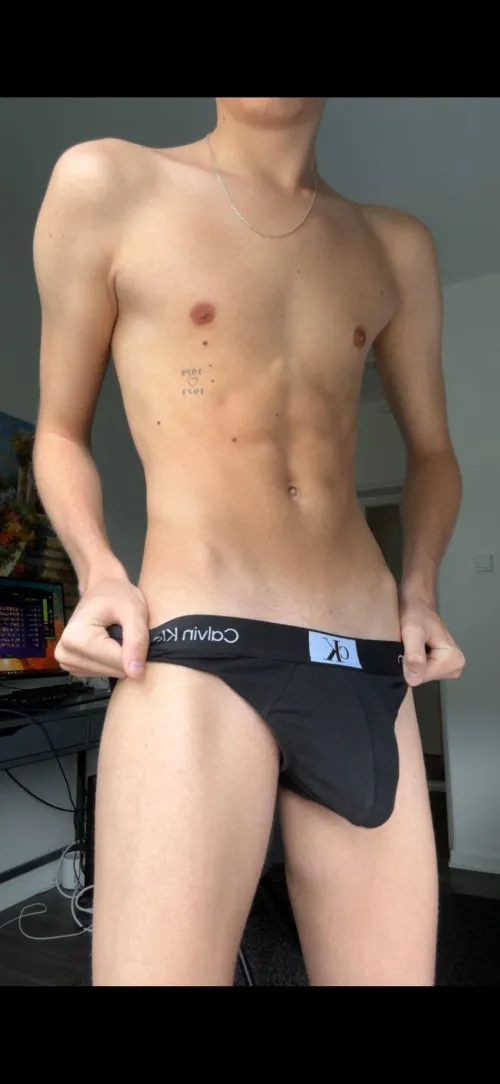 Calvin briefs