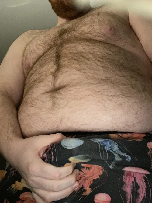 do you like jellyfish?