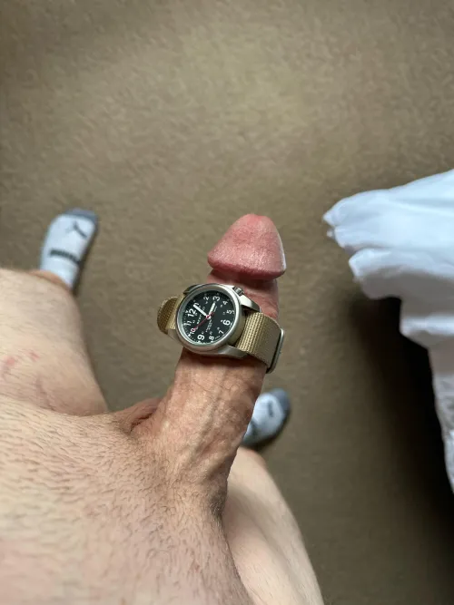 Field watch on an indoor cock