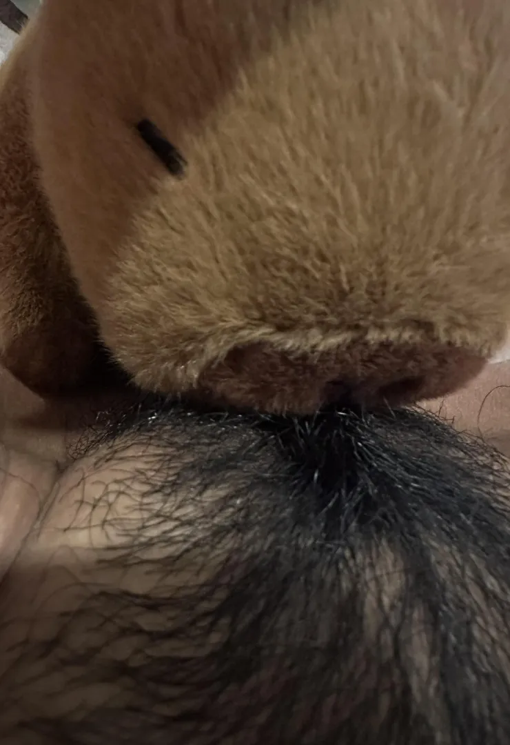 first time trying this with my capybara plushie