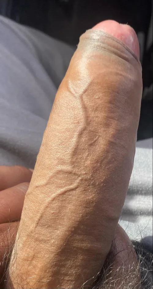 Hosting in Fresno all night looking for sissy bottoms ts cds