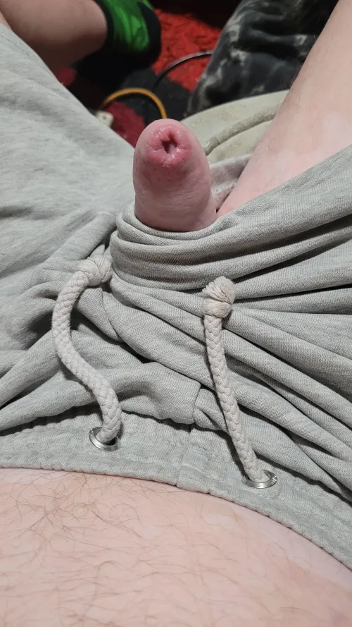 My cocks just popped out to say hello. Grey shots.