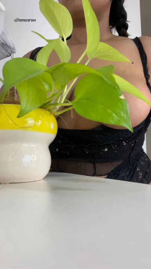 The plants know what you're trying to look at ;)