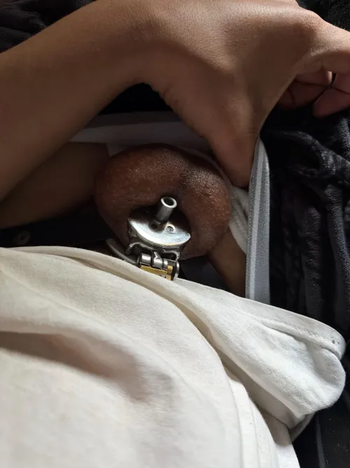 Took some time off bc of a move but I’m back 