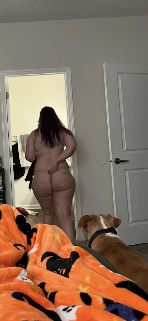 Wifebutt after bouncing on me all night