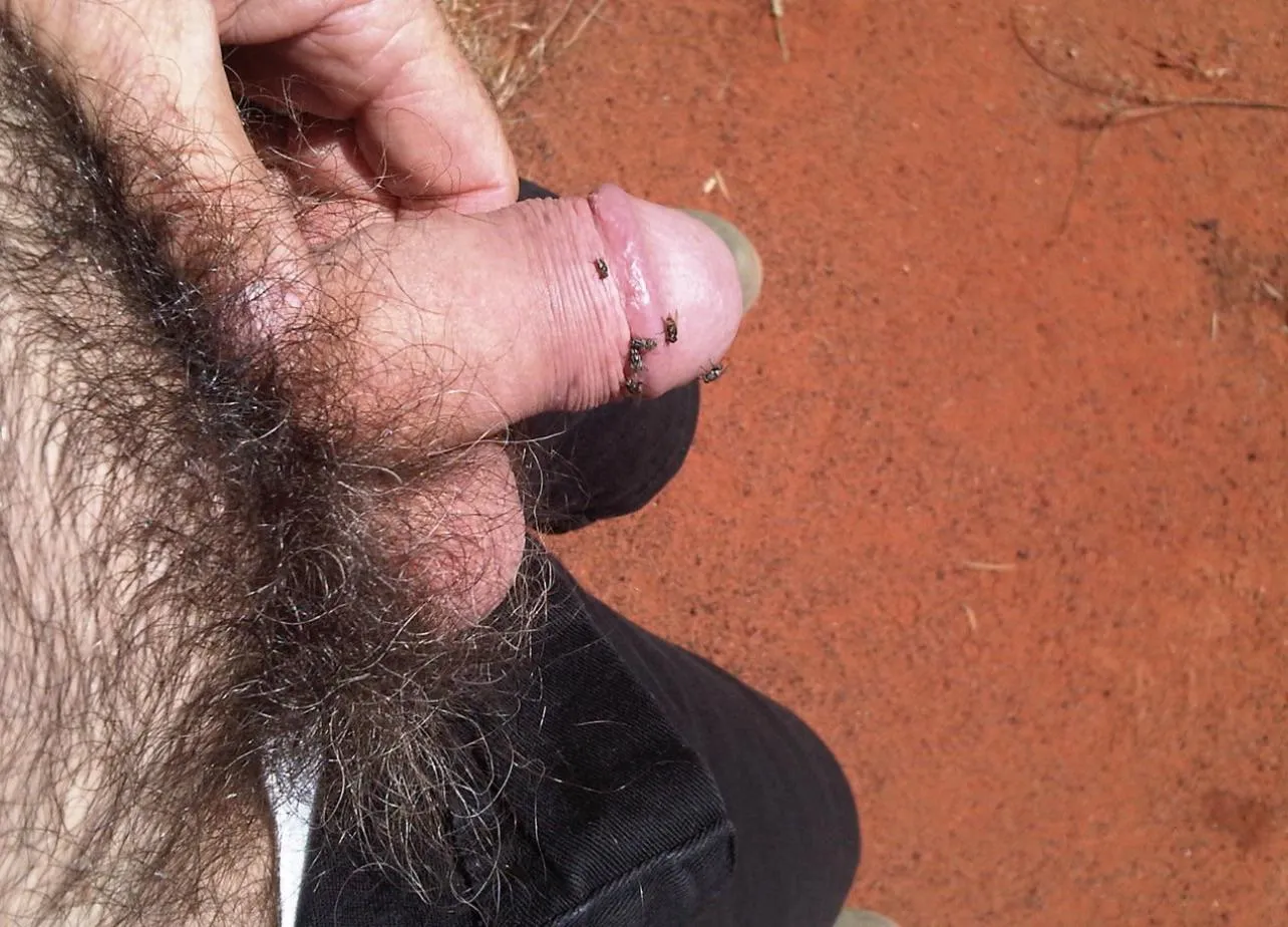 Aussie roadside piss stop and some curious visitors check me out.