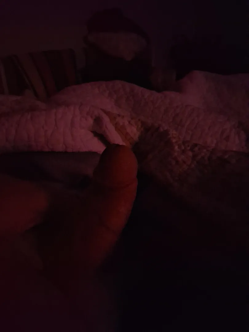  Discreet Bi Dadbod – Nashville – Daytime Regular