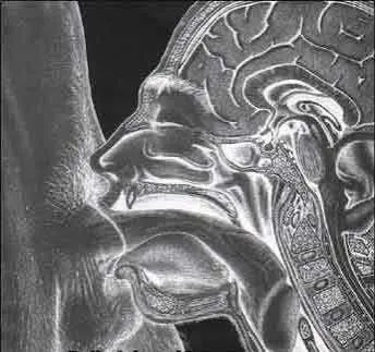 Need your best throat? 26M looking to suck