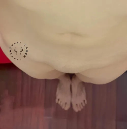 Come for the , stay for the 