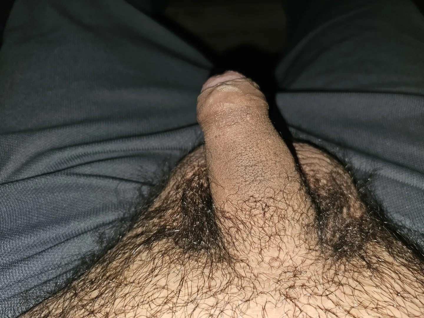 If I say come and play with it would you