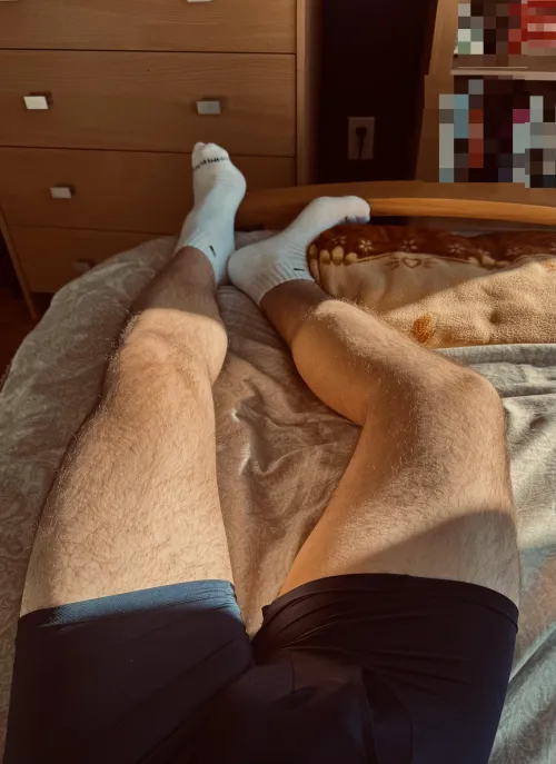 More legs in the sunlight 