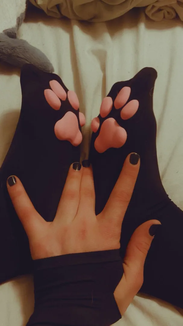 Wanna play with my little paws?