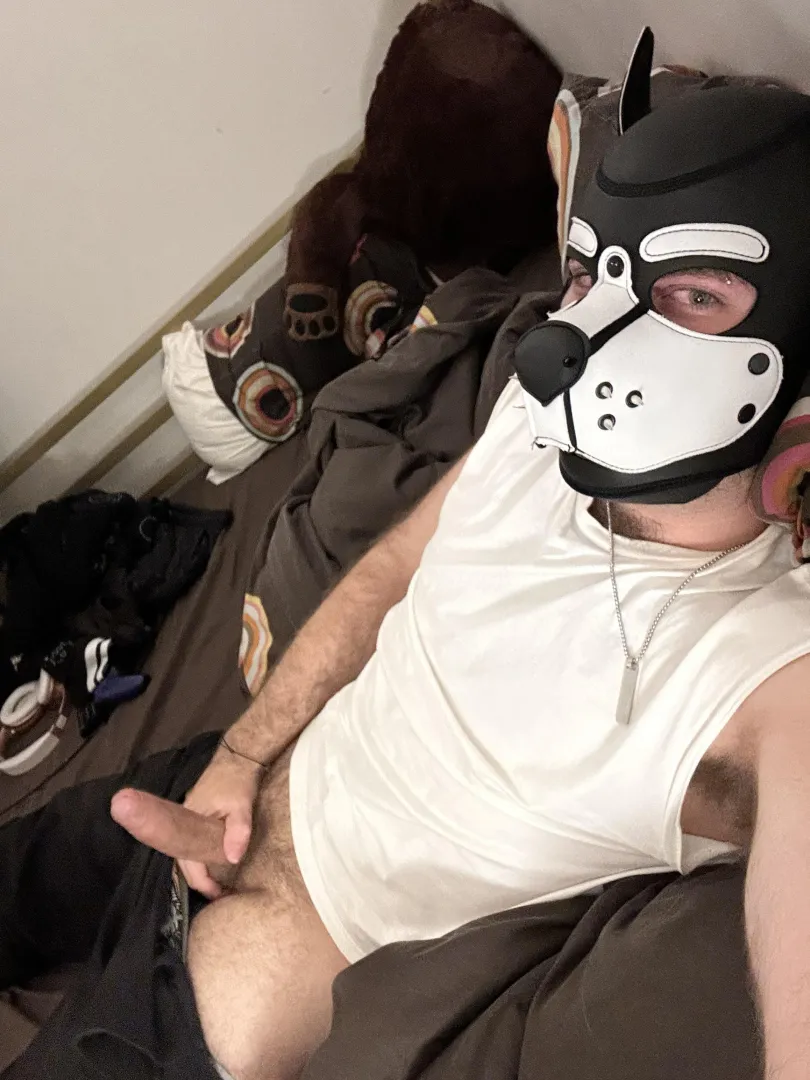 Cheeky puppy playing late at night, I definitely wouldn’t mind some company 