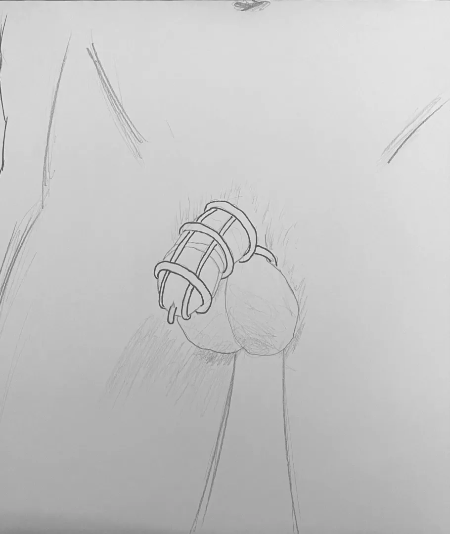 Does a cage like this exist?