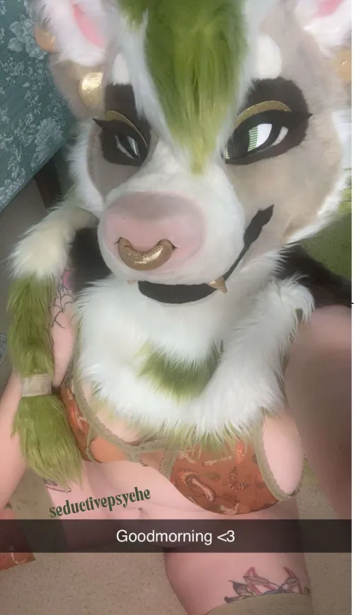 Dropping in to say hi