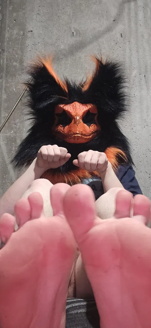 First post of my pawss