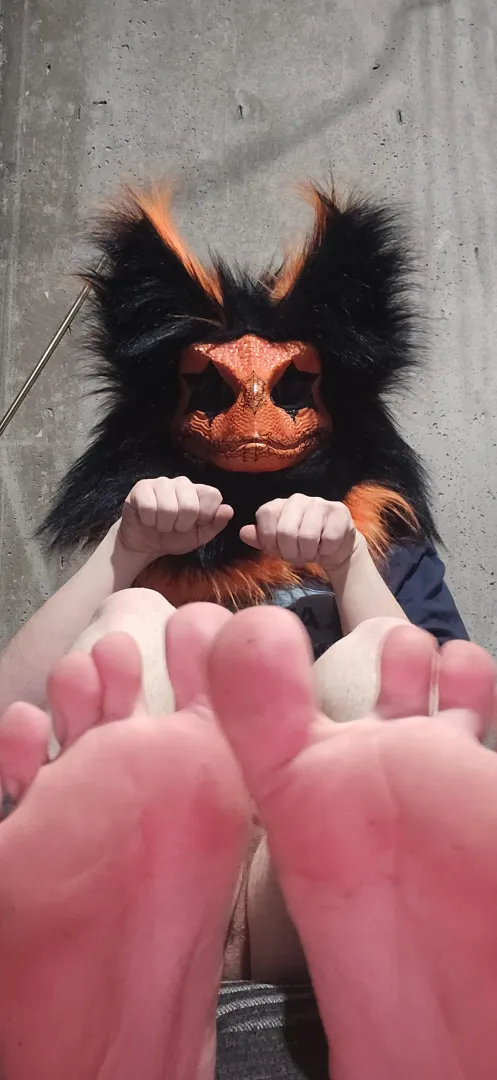 First post of my pawss