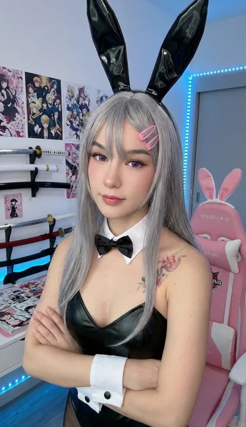 i heard you like bunny egirls