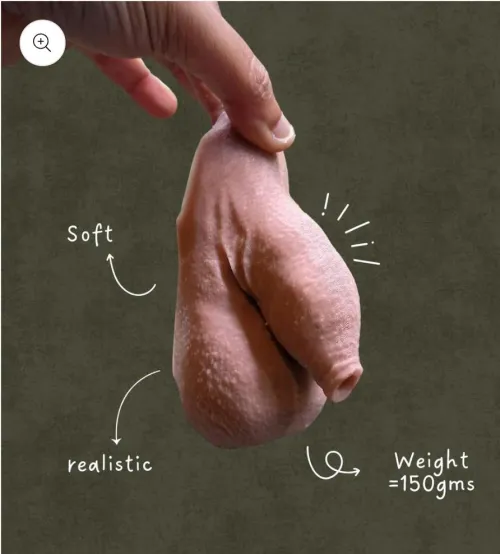 Is this a good choice?