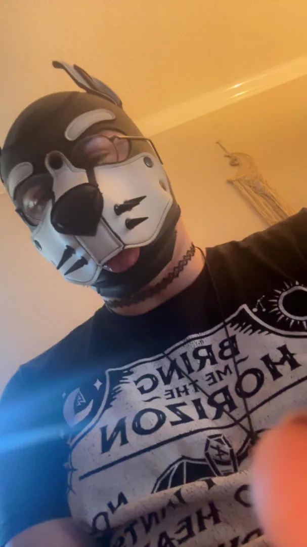 Just a pupper vibing the day away Arf!☺️