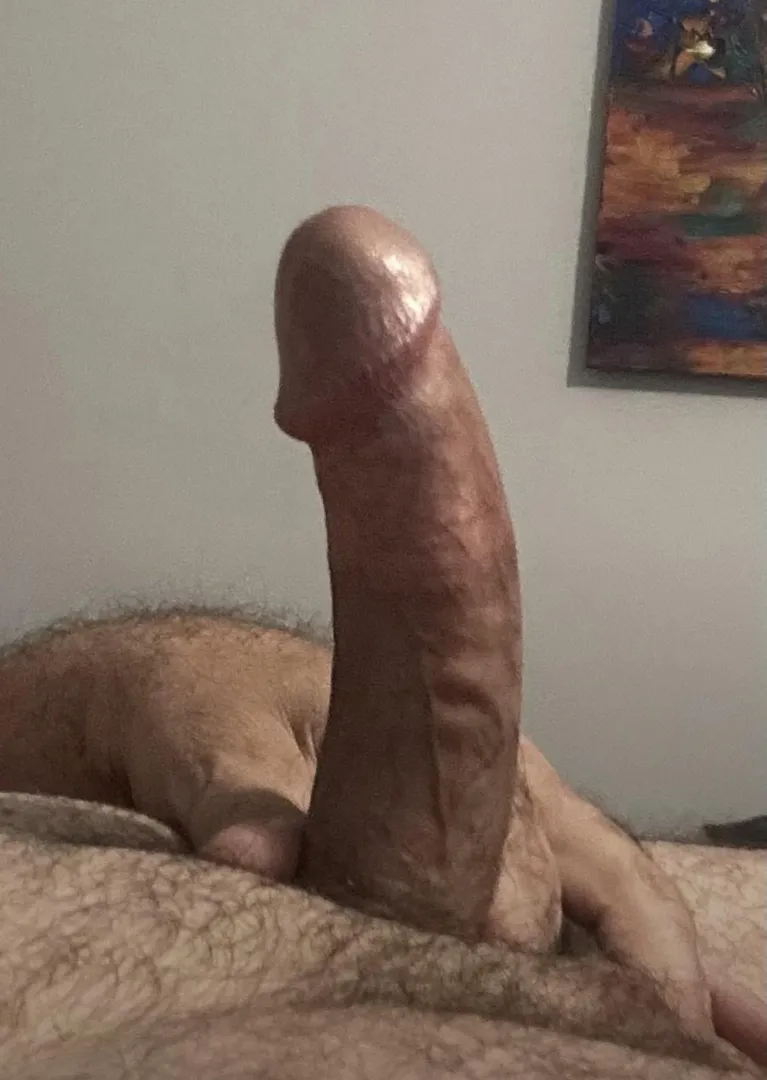 Woke up extremely hard this morning