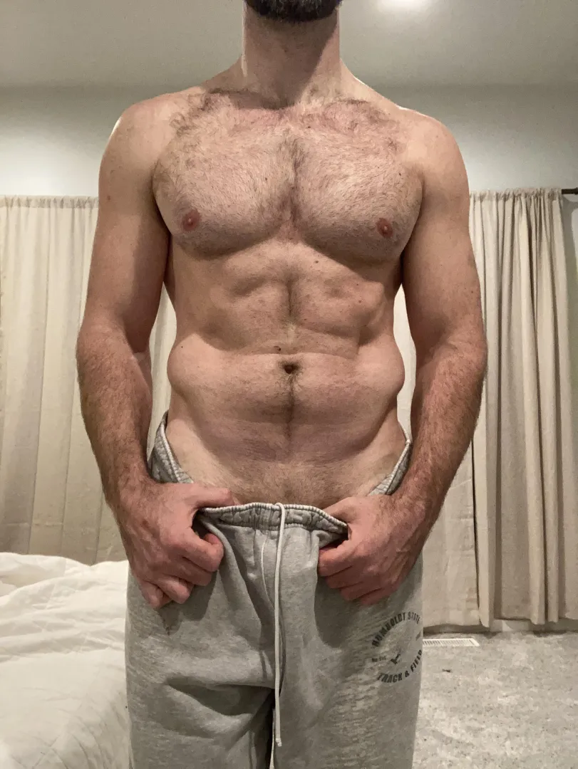 44 stag/bull between Seattle and Tacoma