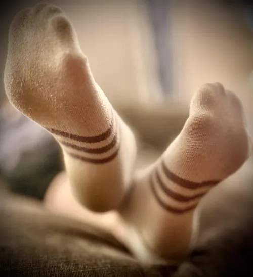 [F] House cleaning day 