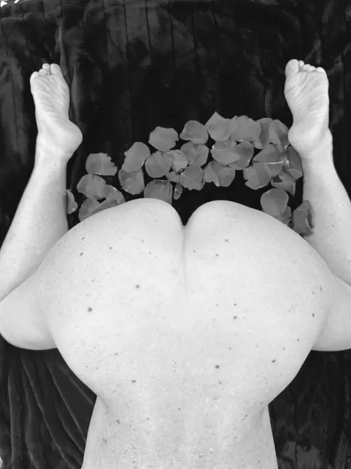 Hated to waste the roses (f)55