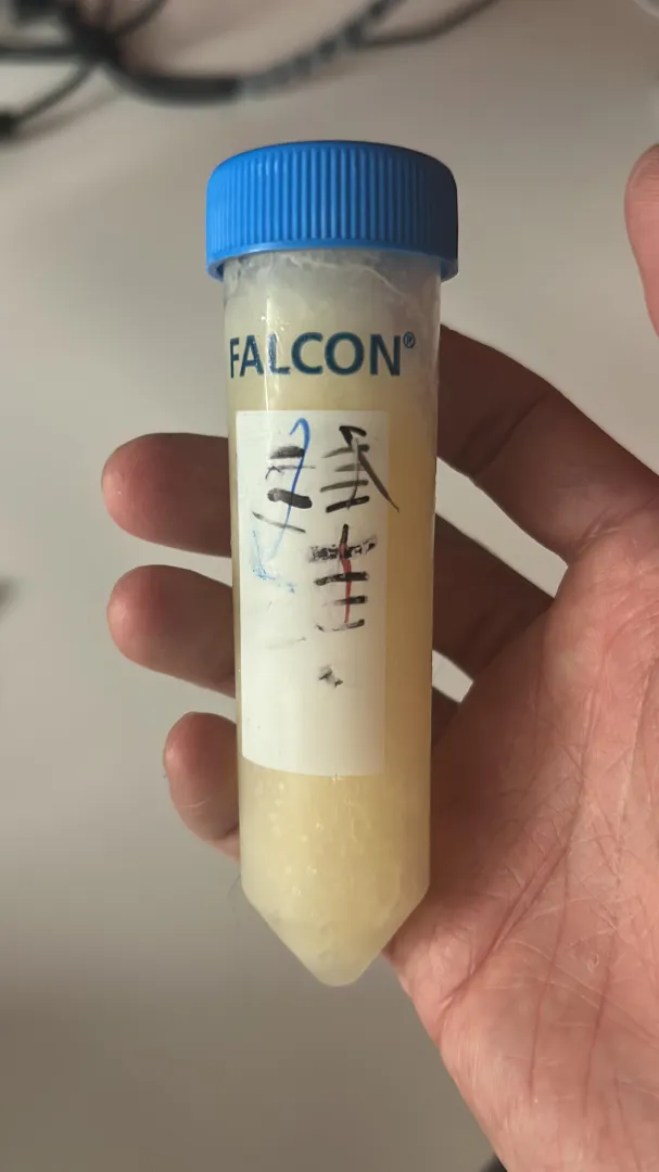 Is saving up frozen cum loads to shove up my guy’s hole considered kink?