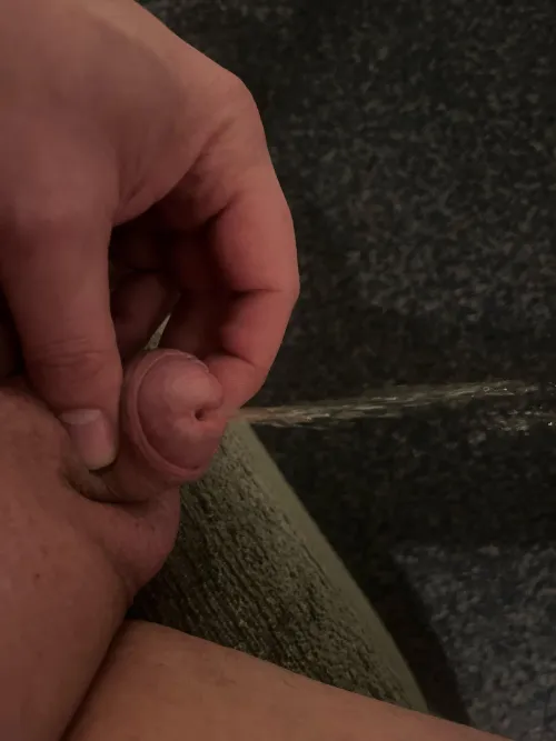 Little button peeing on the floor 