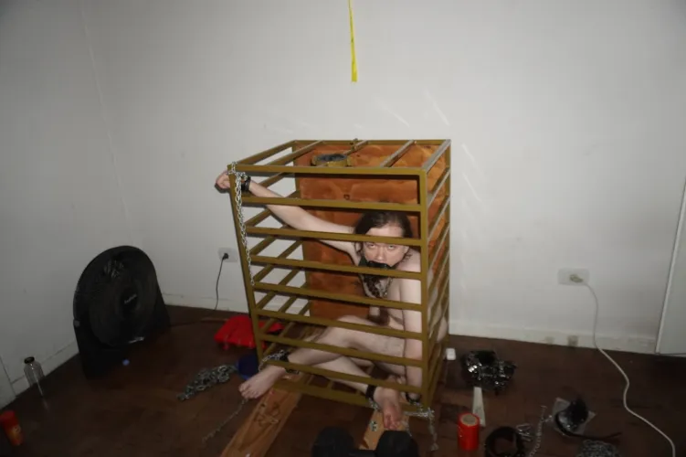 morning! just coming in to see how the training is going. no? no reaction? wow this really is breaking you, isn't it? don't cry, your punishment will be over in a couple days and you'll get some bread while i wash the dick gag. but unfortunately the c