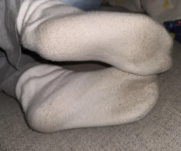 up late to get a sniff? 