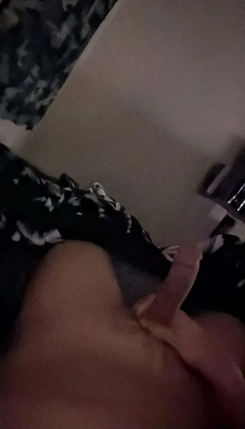 [USA] (SD) #Rapid 19 +Online hung native