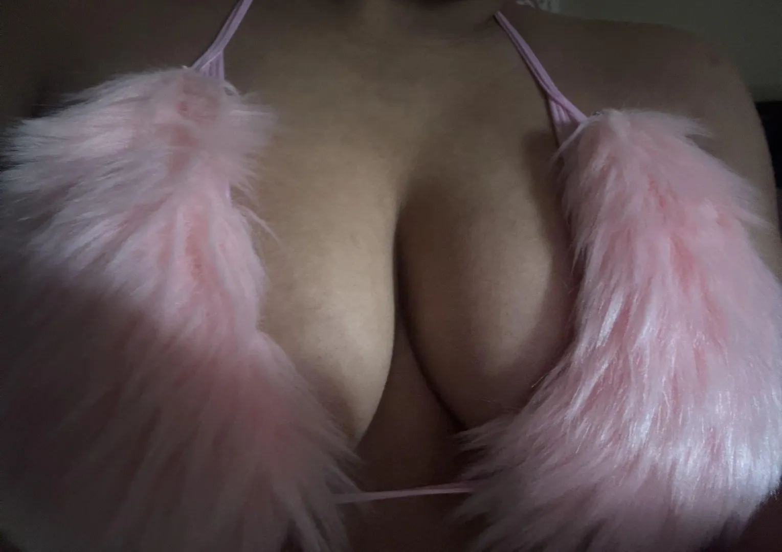 Welcome to my favorite little game 