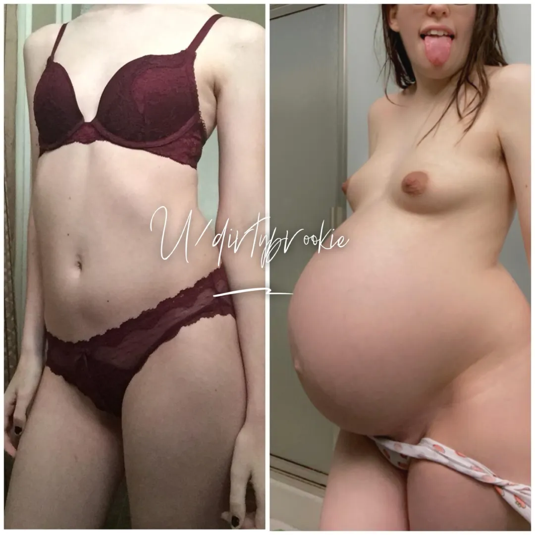 39 weeks. Look how big I grew. I love being bred.