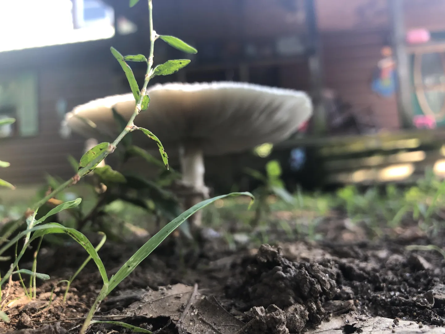 Any gloryholes around paducah?