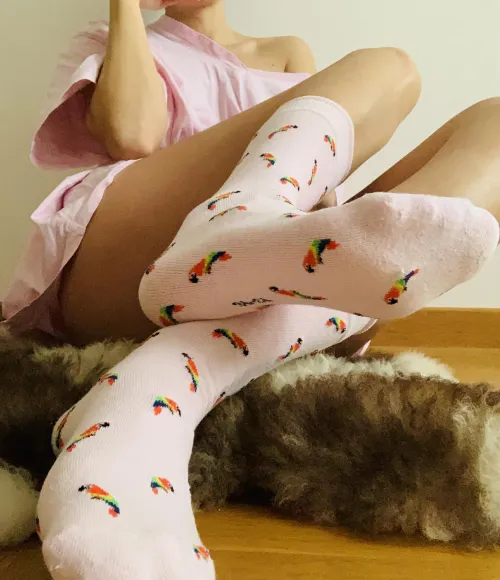 Feeling tropical? Try my yummy parrot socks! 