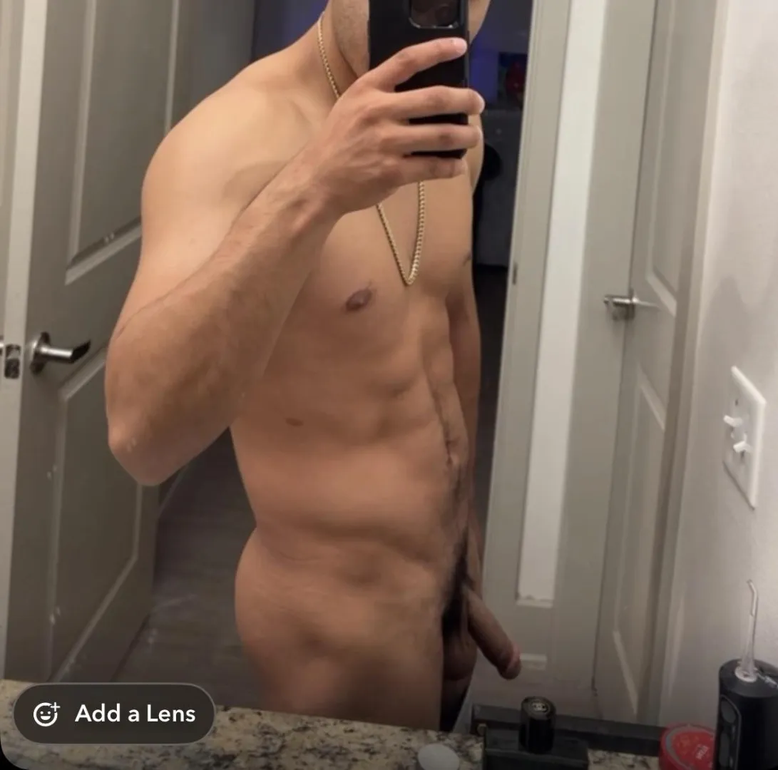 Hispanic bull available