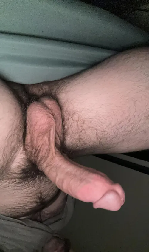 Looking for a blowjob